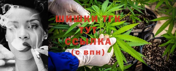 сатива Балабаново