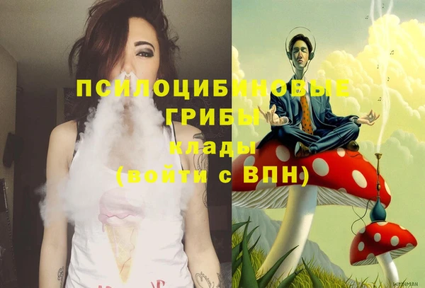 сатива Балабаново